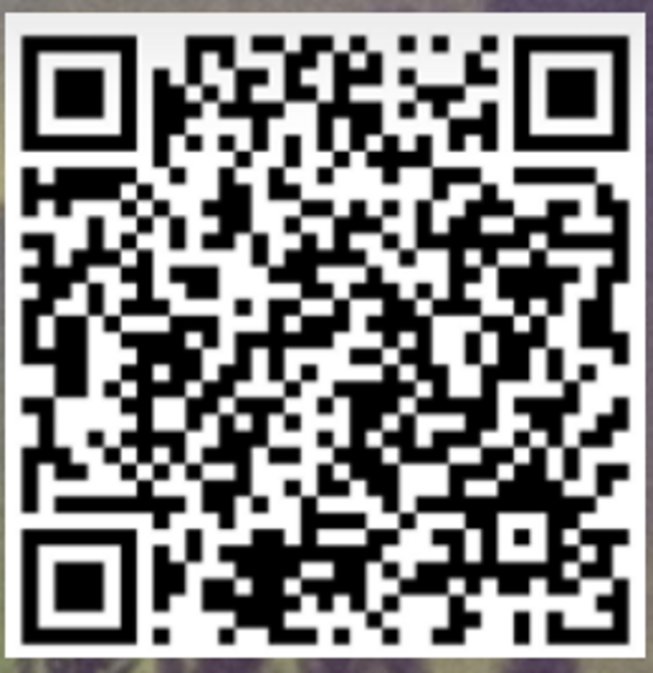 Webinar "Das Dopamin-System" von MLI Leadership Institut (2)